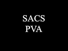 Charger l'image dans la galerie, SACS PVA RELIEF